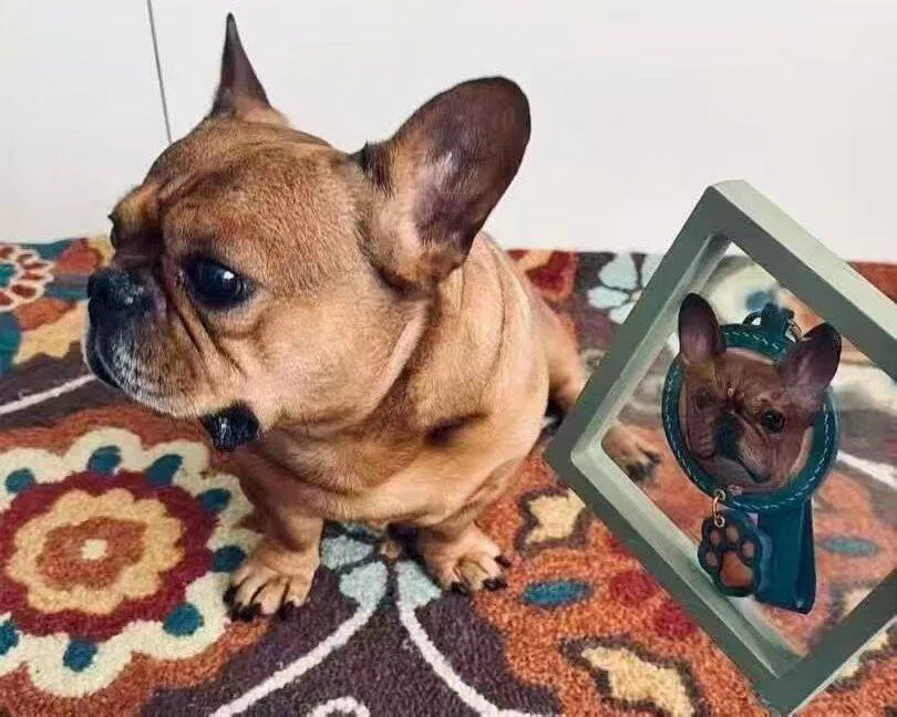 Ana T. PETMOKI custom pet portrait review