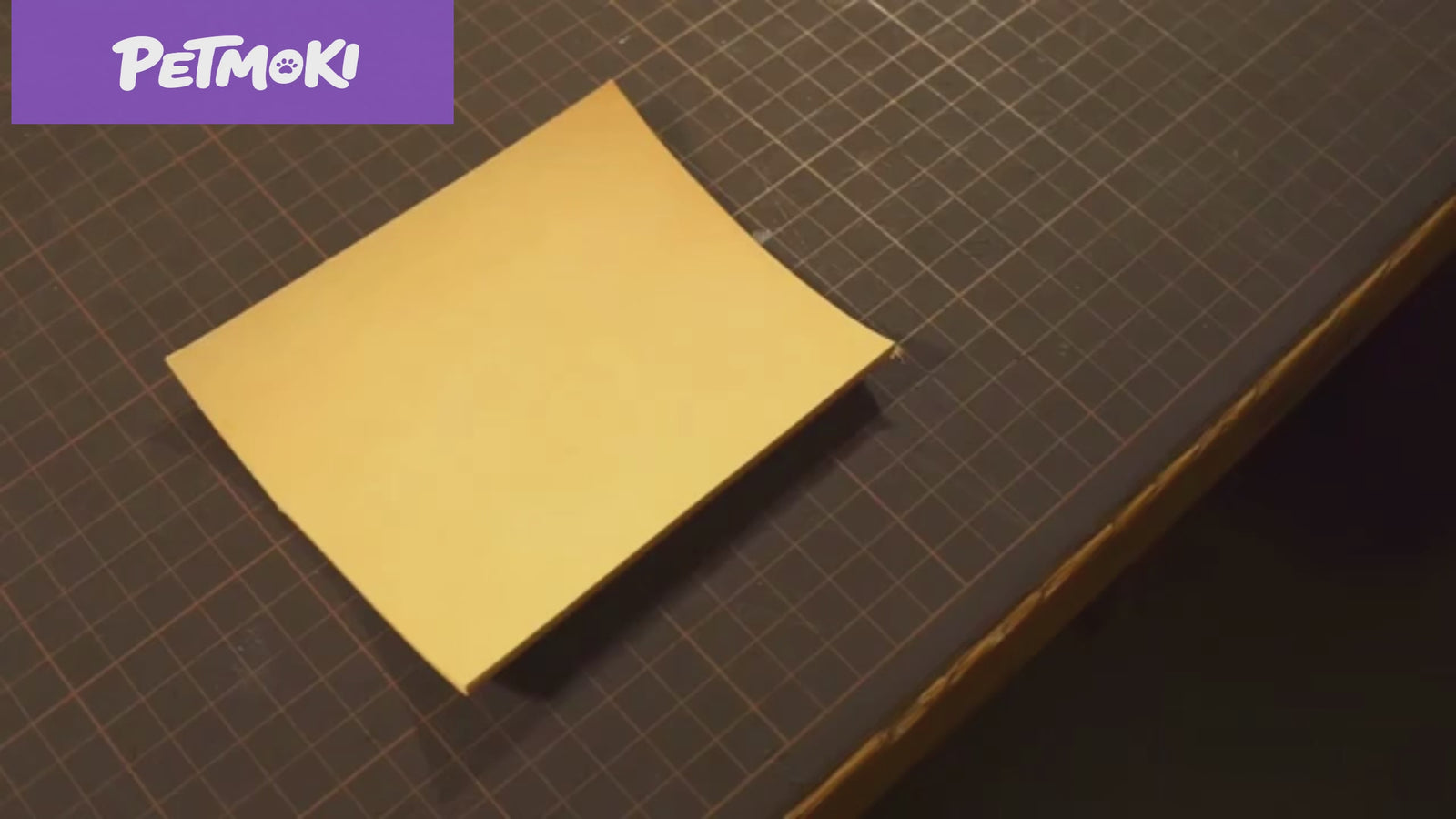 The making process of a custom 3D leather pet keepsake